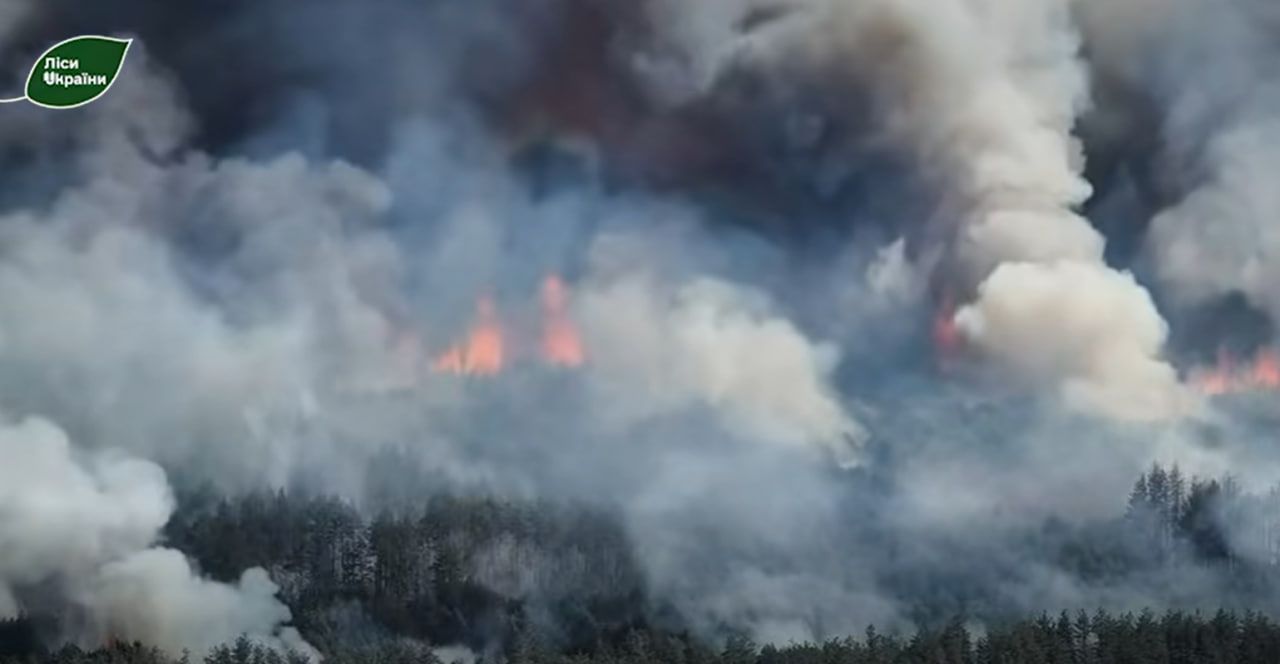 На північному кордоні з рф палає 2400 га лісу. Гасіння …