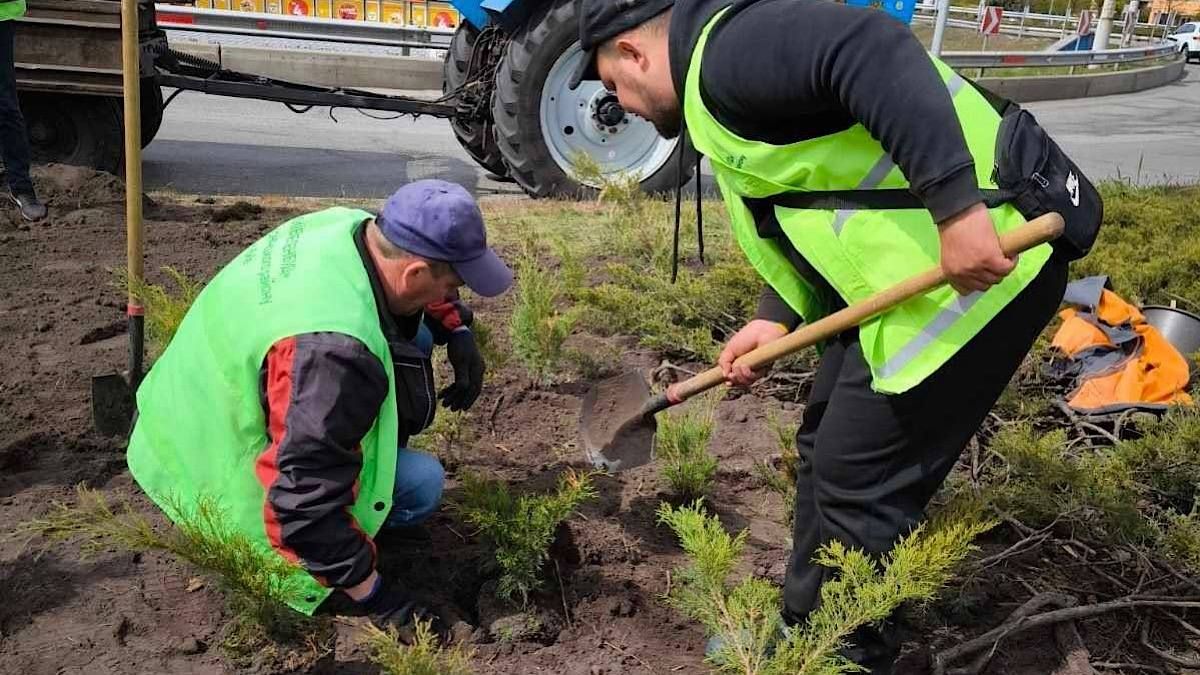 На станції метро "Сирець" замість демонтованих МАФів облаштували зелену зону