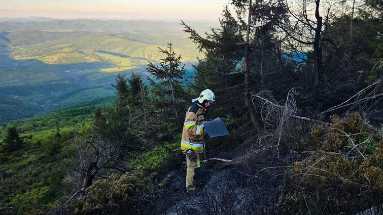 На схилах гори Пікуй ліквідували три осередки займання