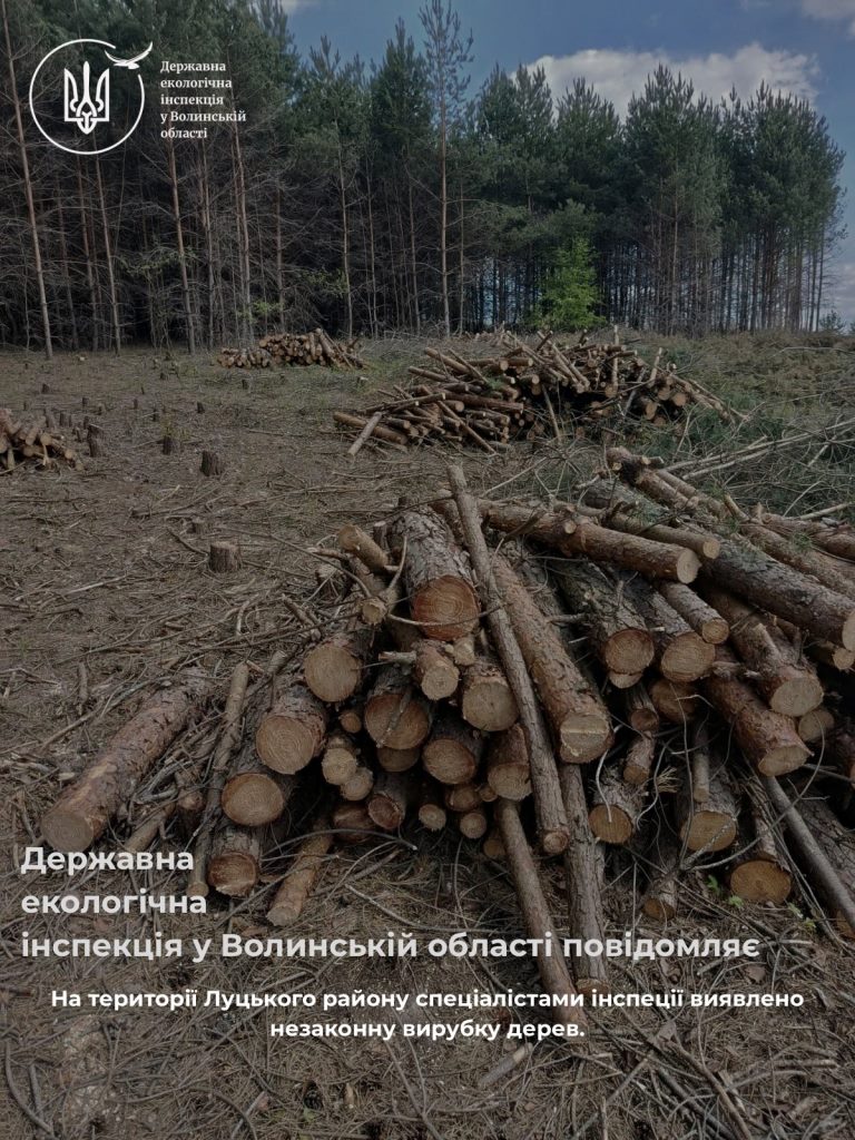 За 50 кілометрів від Луцька виявили незаконну рубку лісу (ФОТО, …