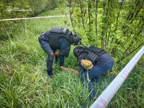 На території Теребовлянської громади виявили вибухівку (фото)