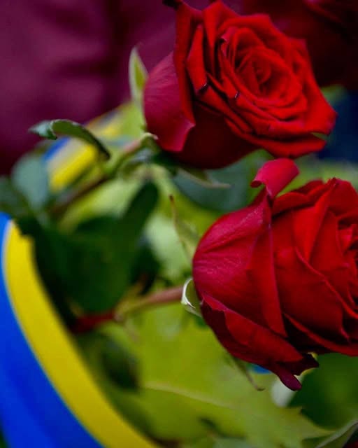 На щиті повертається Герой…