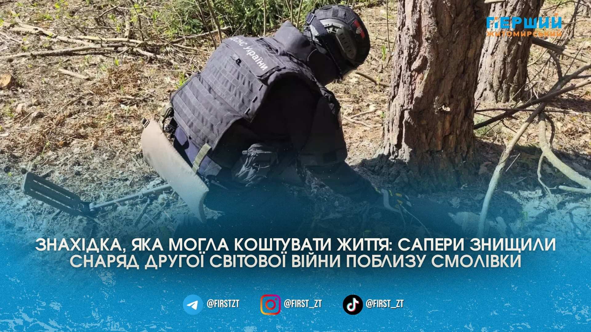 Небезпечний ліс: на Житомирщині піротехніки ДСНС ліквідували артснаряд, що пролежав …
