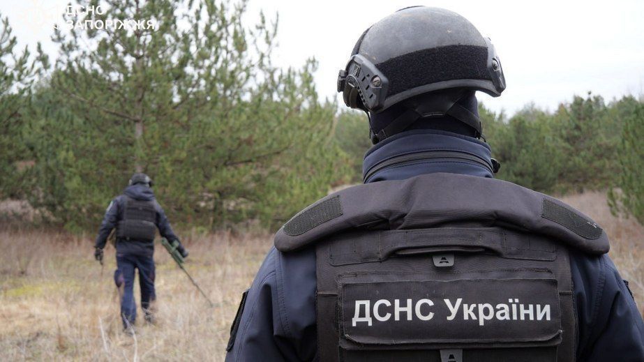 На Запоріжжі сапери знешкодили небезпечні боєприпаси