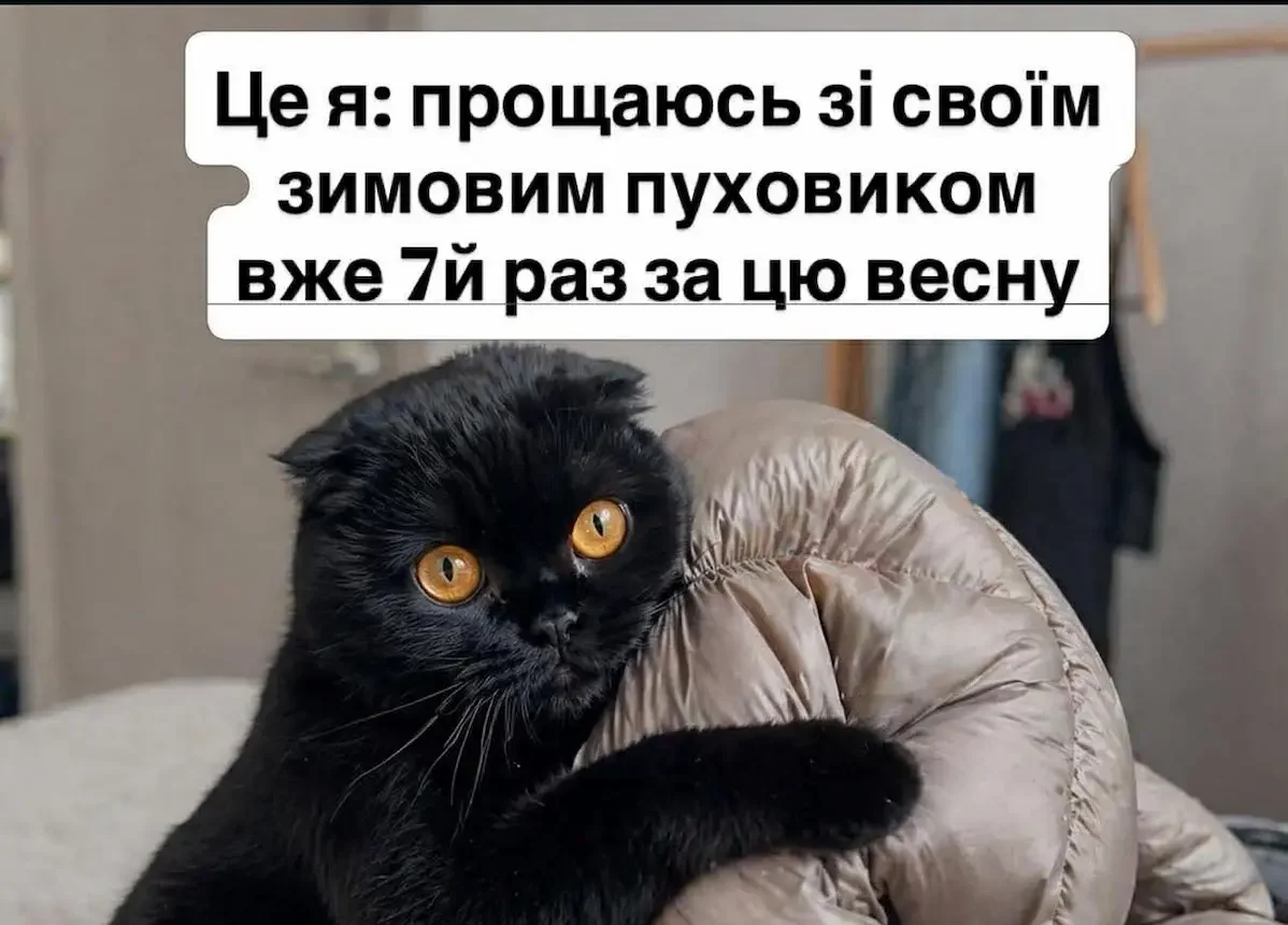 Недільний одеський гумор — релакс перед енергійним стартом тижня