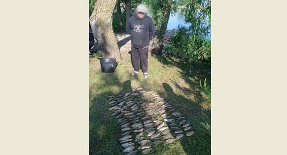 Незаконний вилов риби на майже 200 тис. грн: викрито порушників …