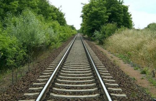 Незаконні вирубки біля колій на Кременеччині: жителів попереджають про кримінальну …