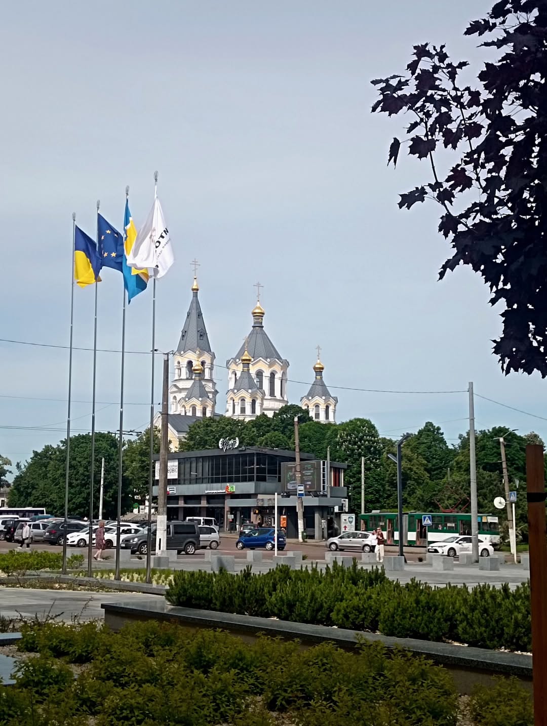 Незвичний ракурс: фотограф Валерій Мовчан показав Спасо-Преображенський собор у Житомирі
