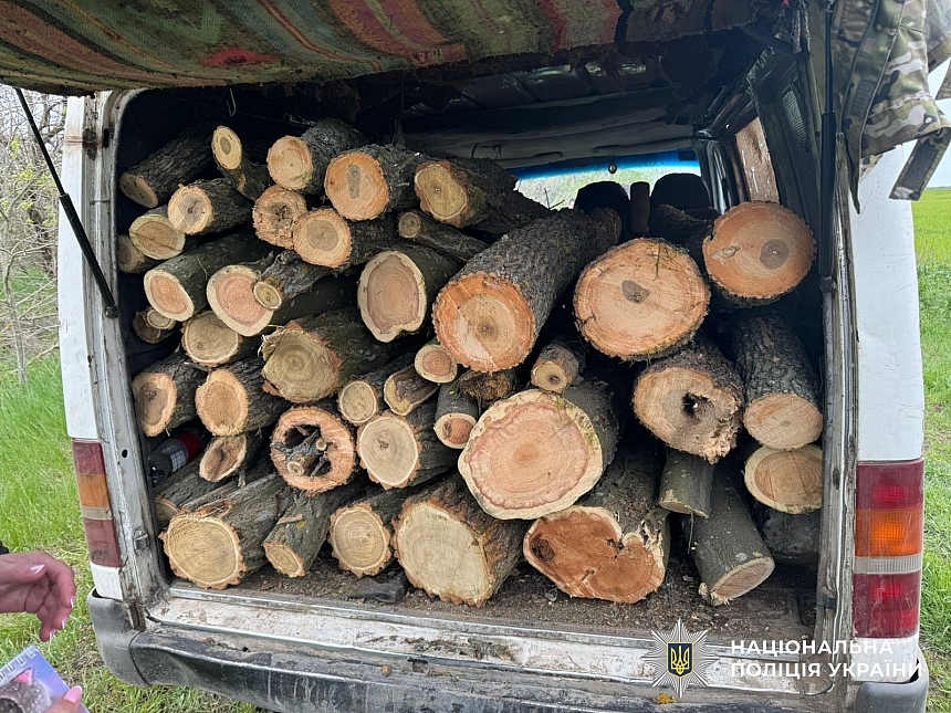 Нелегально вирубували дерева для продажу: в Миколаєві затримали групу браконьєрів