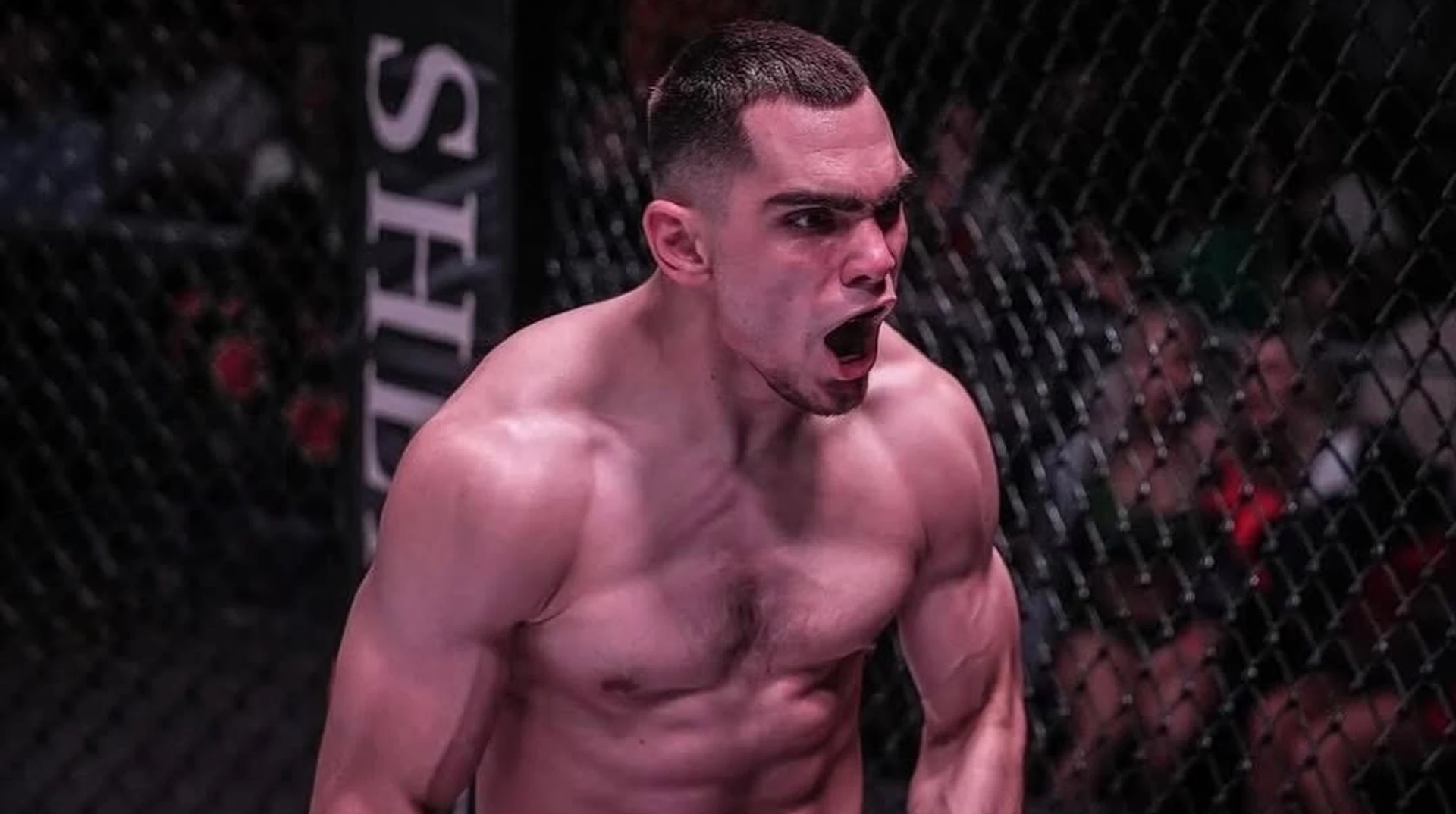 Непереможений українець проведе дебютний бій в UFC