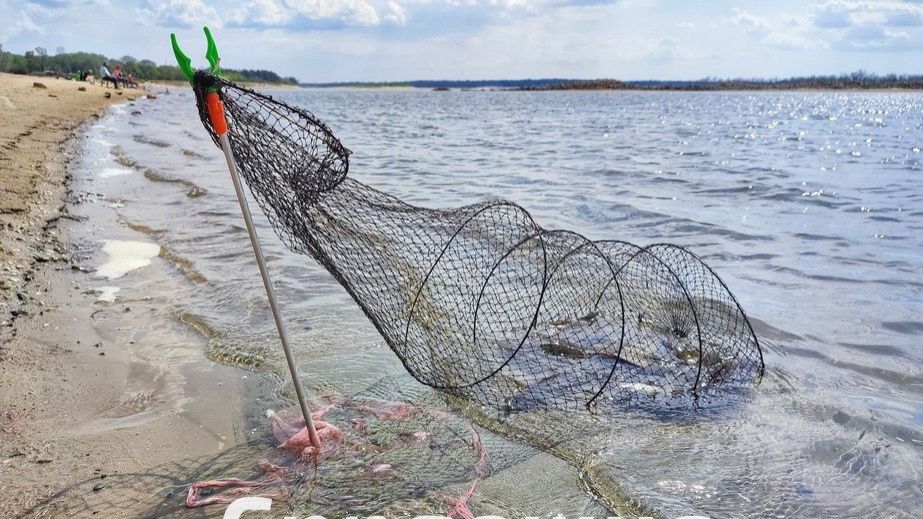 Заборона на вилов риби діє в Запоріжжі – нові нерестовища …