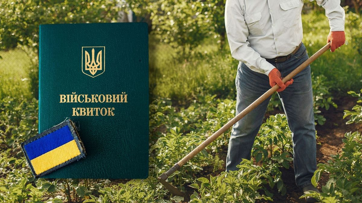 Не всіх аграріїв можуть забронювати – що потрібно фермерам для …