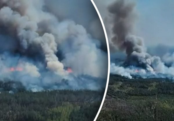 Не можуть загасити: на Чернігівщині через агресію РФ спалахнула масштабна …