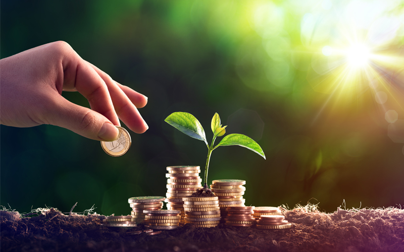 Нова оцінка землі: чи зміниться податкове навантаження бізнесу