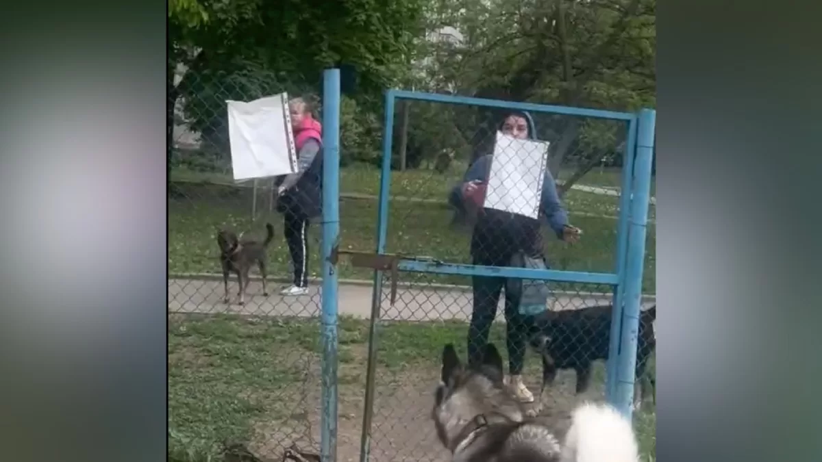 Новий мовний скандал у Харкові: дівчина спілкувалася державною в громадському …