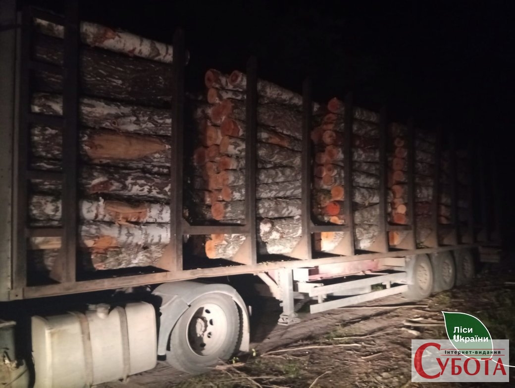 Нічний рейд на Житомирщині: у Коростенському надлісництві викрили незаконну рубку