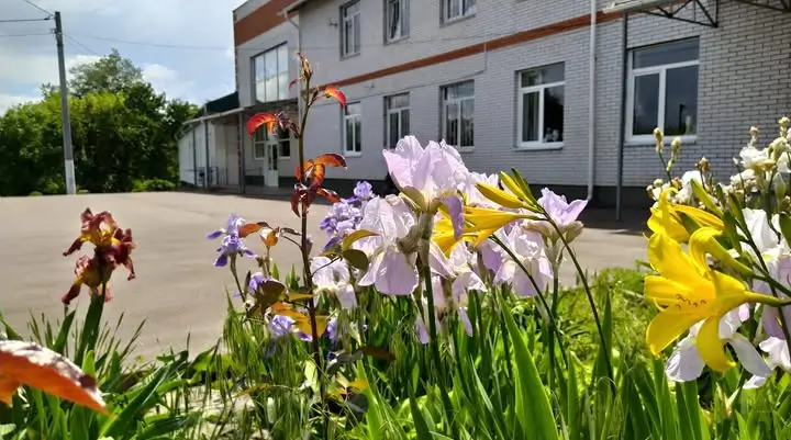 Обухів витратить 34 млн гривень на початковий етап будівництва сховища …