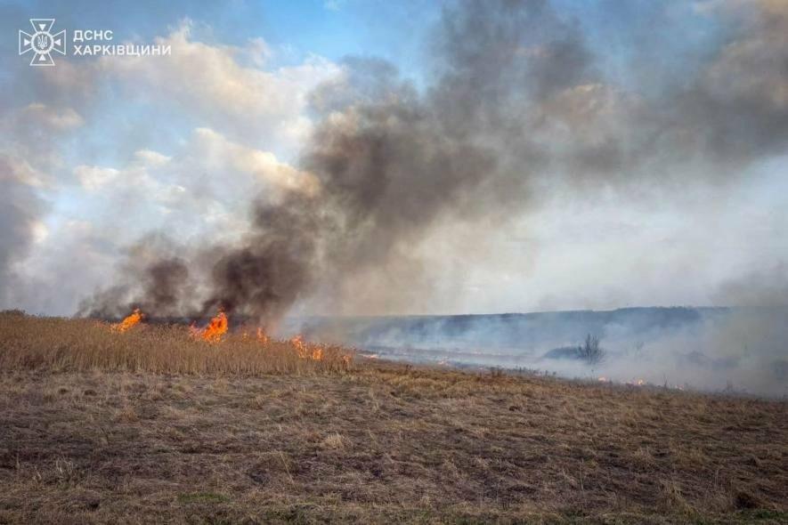 Оголошена надзвичайна пожежна небезпека: ліси Харківщини під загрозою