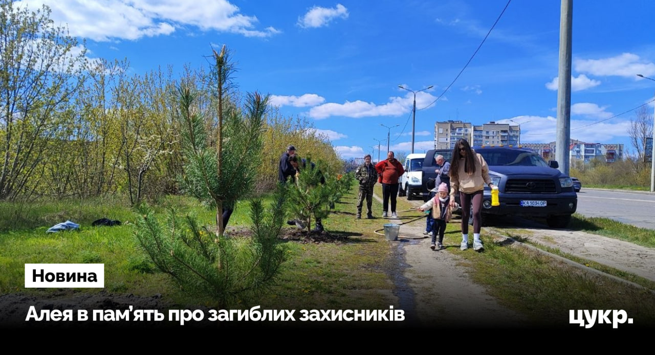 У Сумах активісти висадили алею з 44 сосен у межах …