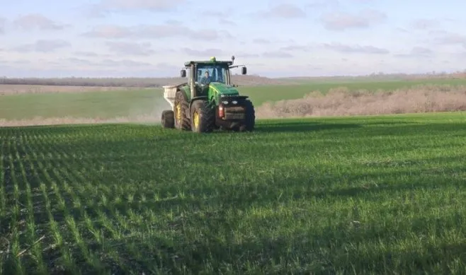 Озимі культури на Тернопільщині відновили вегетацію на 10 днів раніше …