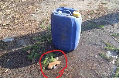 Окупанти посилюють дистанційне мінування “прифронтових” громад на Сумщині