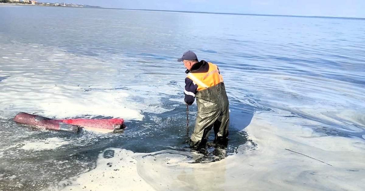 Олія на хвилях, птахи в пастці: Чорноморськ після російського нападу