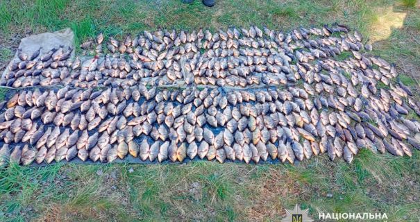 Поліція Черкащини відкрила 38 справ проти рибних мародерів: вилучено човни …