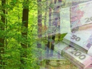 Основне лісництво Дніпропетровської області виділить більше 5,5 мільйонів на захист …