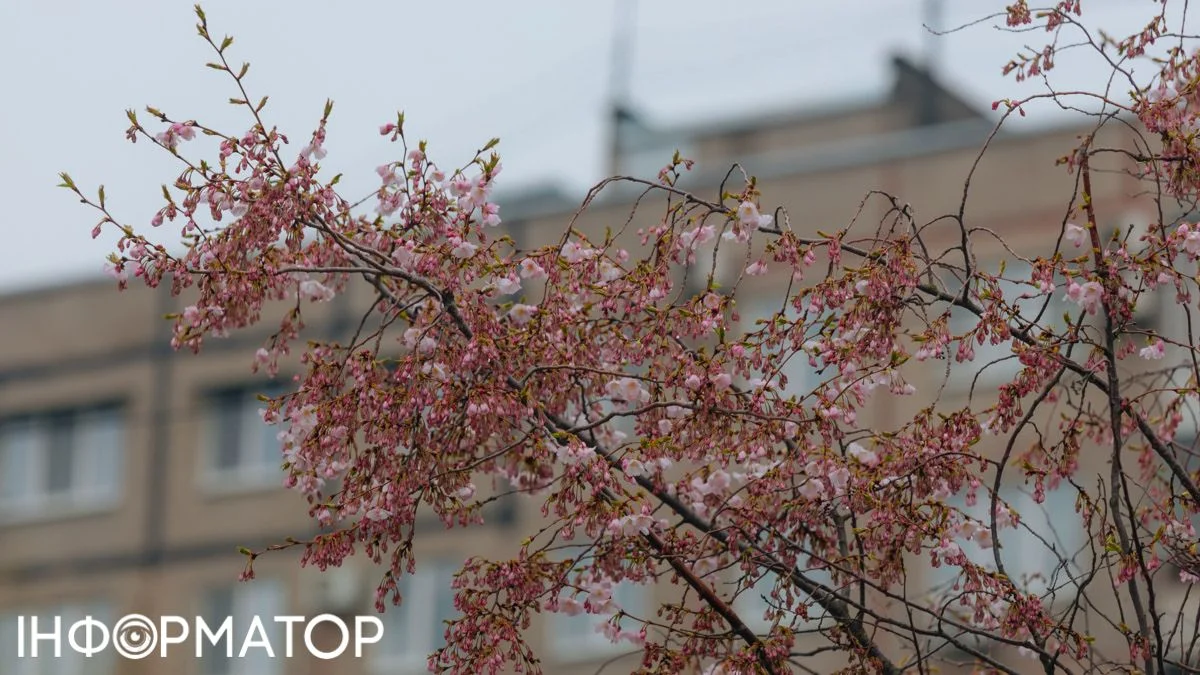 Отримали спадок - платіть податок