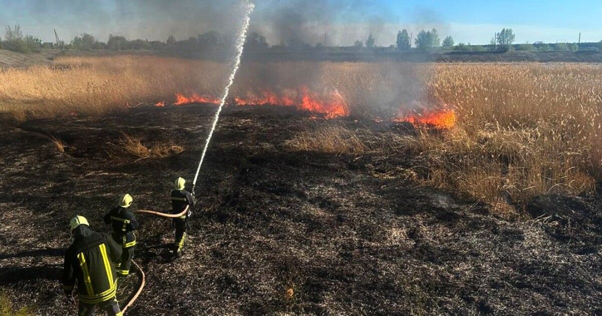 Палали чагарники та очерет: волинські вогнеборці приборкали 10 пожеж
