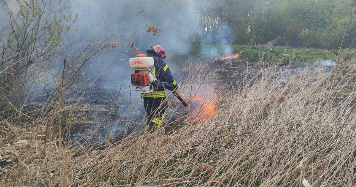 Палало сміття та суха трава: волинські вогнеборці приборкали дві пожежі