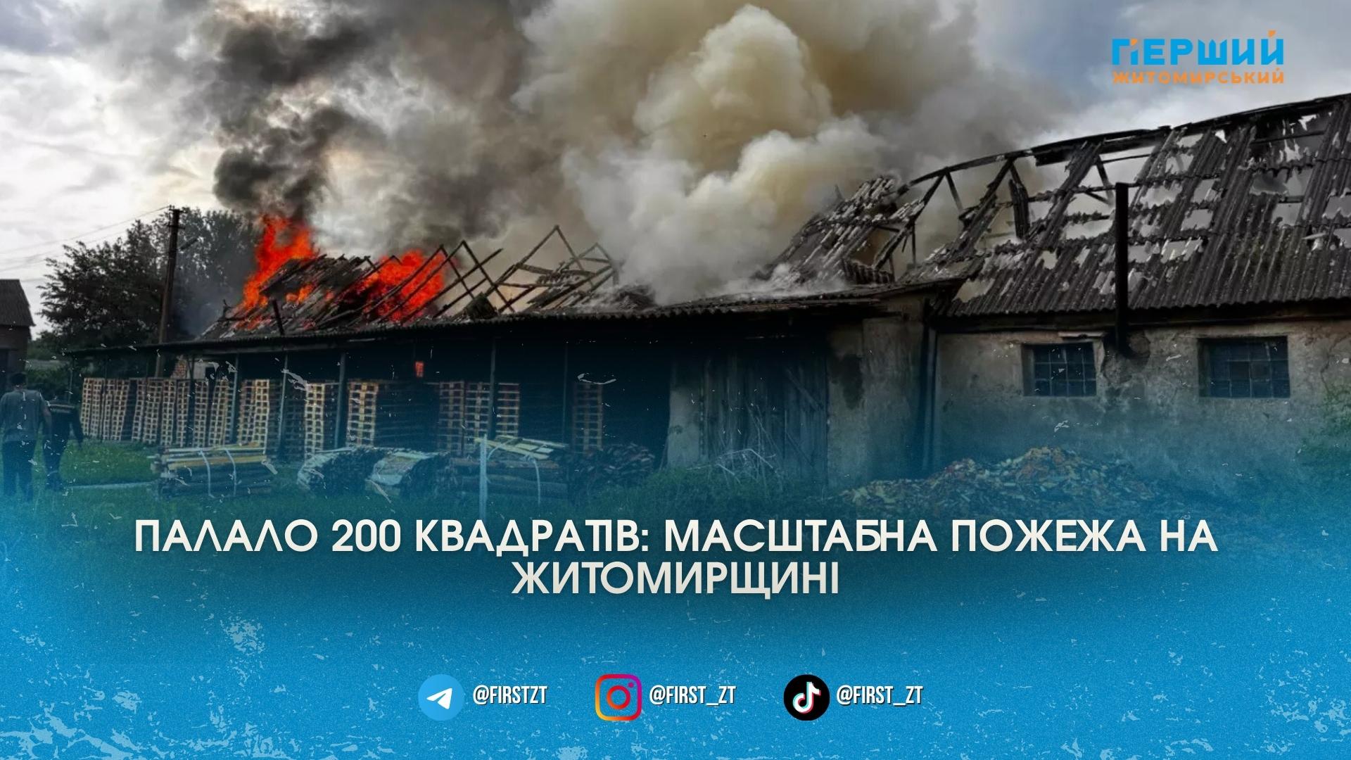 Палало 200 квадратів: на Житомирщині вогнеборці ледь приборкали масштабну пожежу …