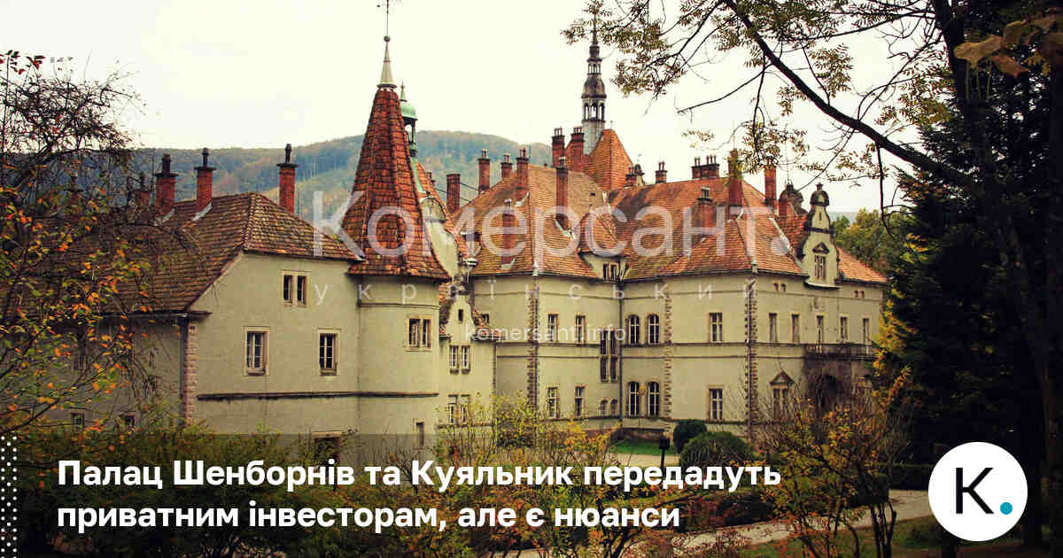 Палац Шенборнів та Куяльник передадуть приватним інвесторам, але є нюанси