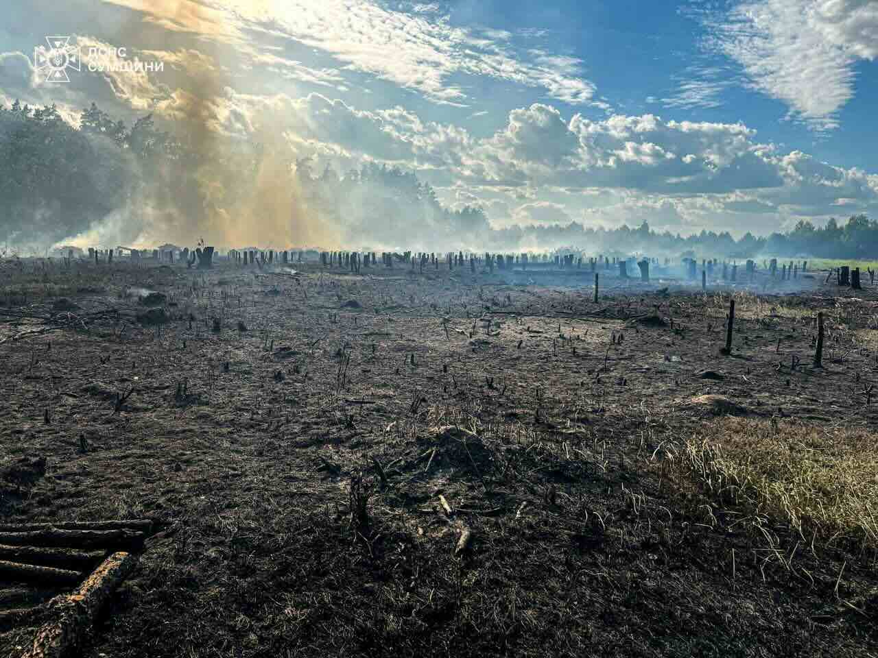 Палії знову ледь не спалили гектари: на Сумщині рятувальники цілу …