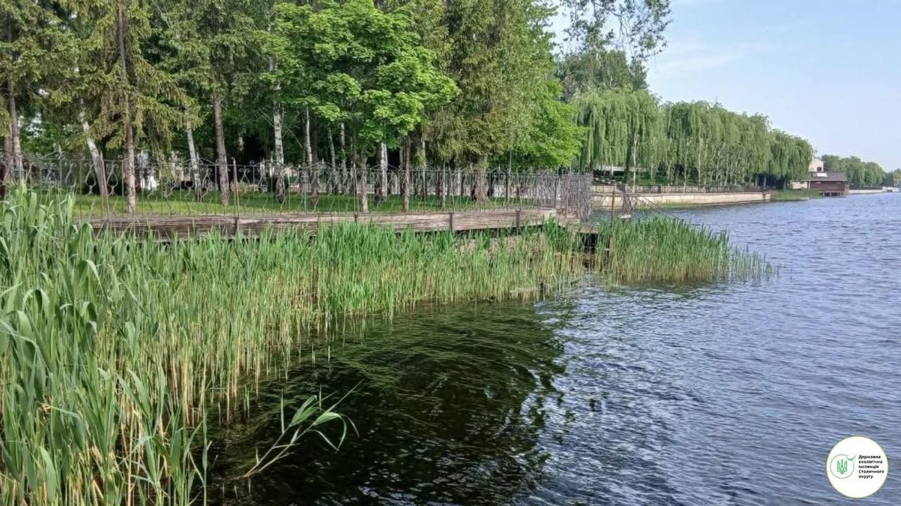 Паркани замість пляжів: екоінспектори та активісти зафіксували масове захоплення берега …