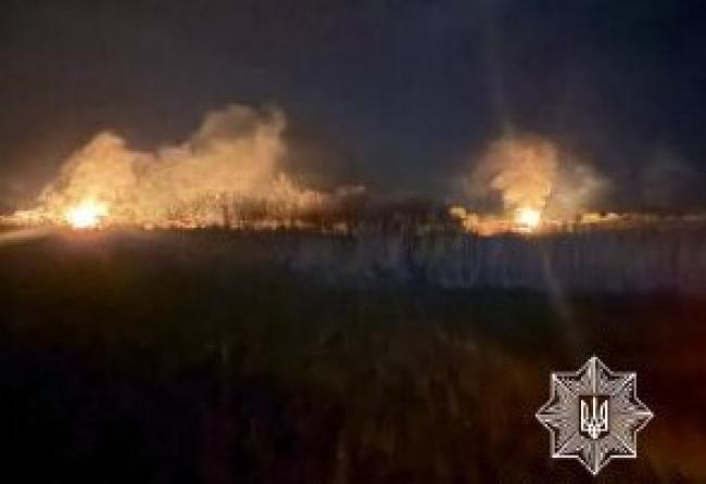 Патрульні, рятувальники та лісівники загасили пожежу в Сарнах