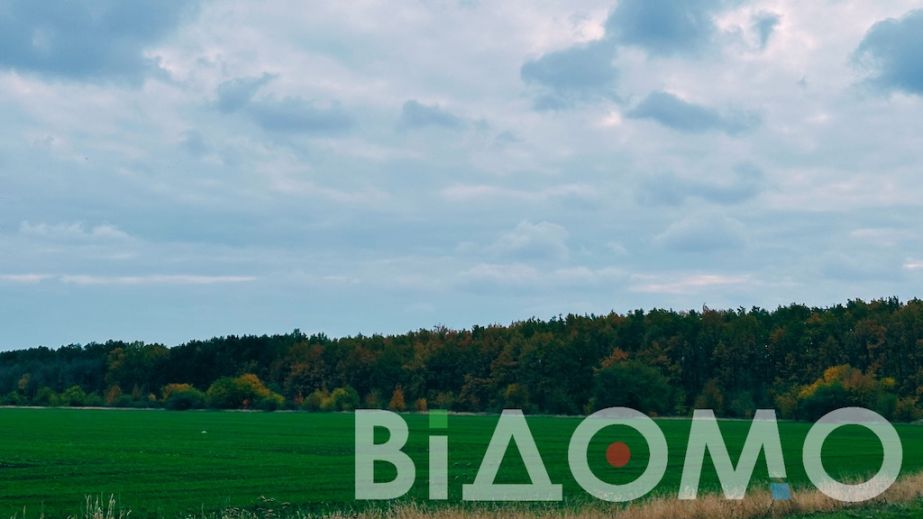 Перетворили балку на сміттєзвалище: прокурори вимагають повернути державі 23 гектари …