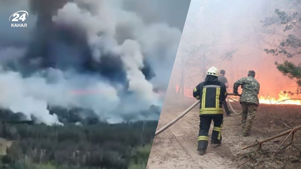 Площа 3 тисяч футбольних полів: на Чернігівщині, на кордоні з …