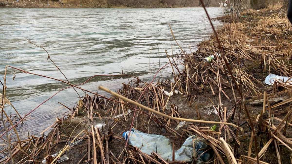 Поблизу Києва виявили забруднення річки