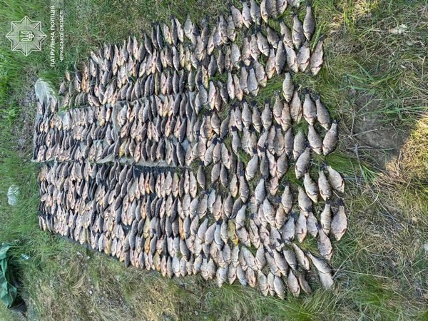 Поблизу Черкас чоловік незаконно виловив понад півтисячі карасів
