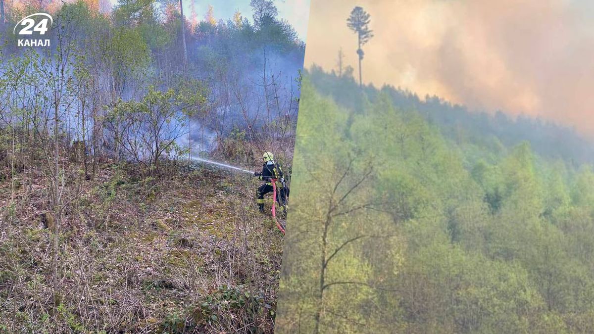 Поблизу закарпатського курорту Воловець масштабно горить ліс