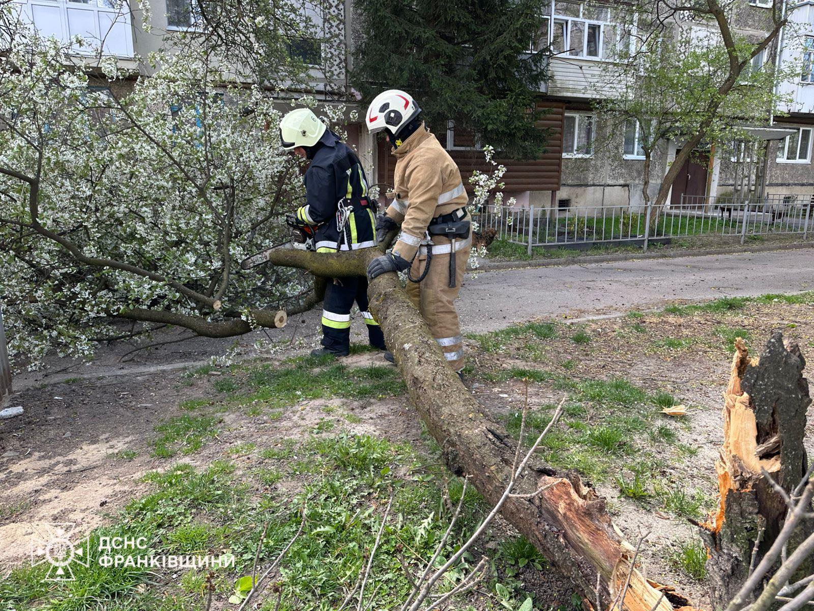 Повалені дерева, обірвані лінії та пошкоджені дахи: в Івано-Франківську ліквідовують …