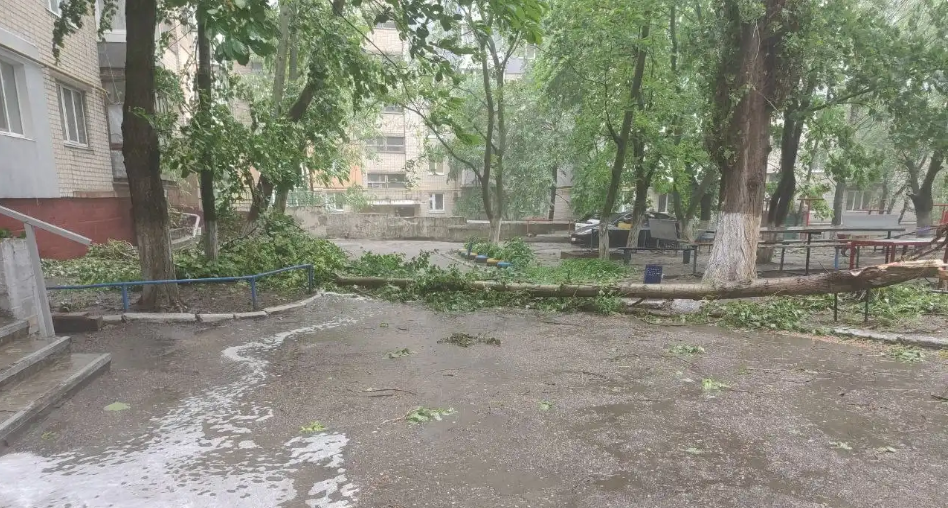 Повалені дерева та пошкоджені білборди: у Кропивницькому вирувала негода