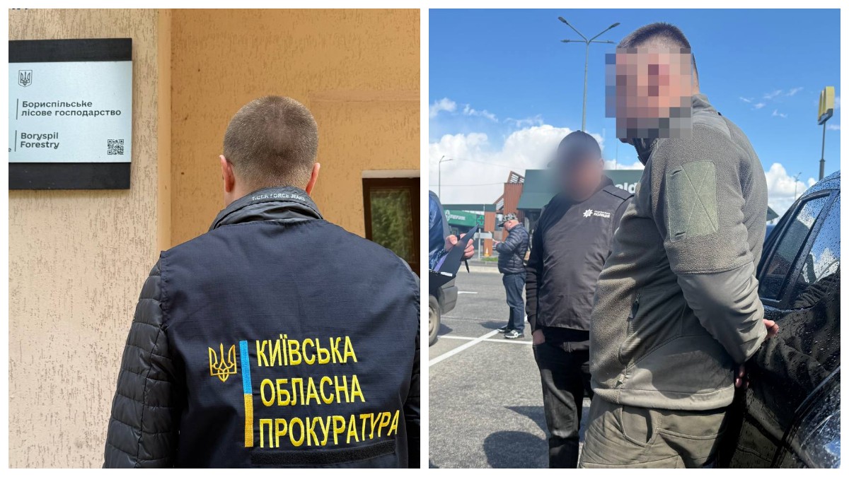 Повідомлено про підозру начальнику Бориспільського надлісництва ДП Ліси України за …