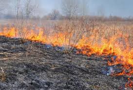 Пожежа на Львівщині: у Стрийському районі ледь не згоріла кочова …