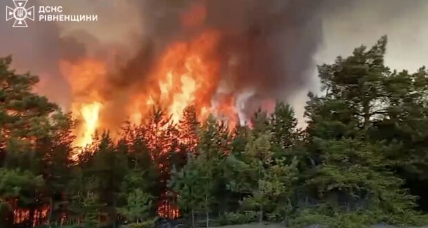 Пожежа на Сарненщині — вогонь охопив 5 гектарів лісу та …