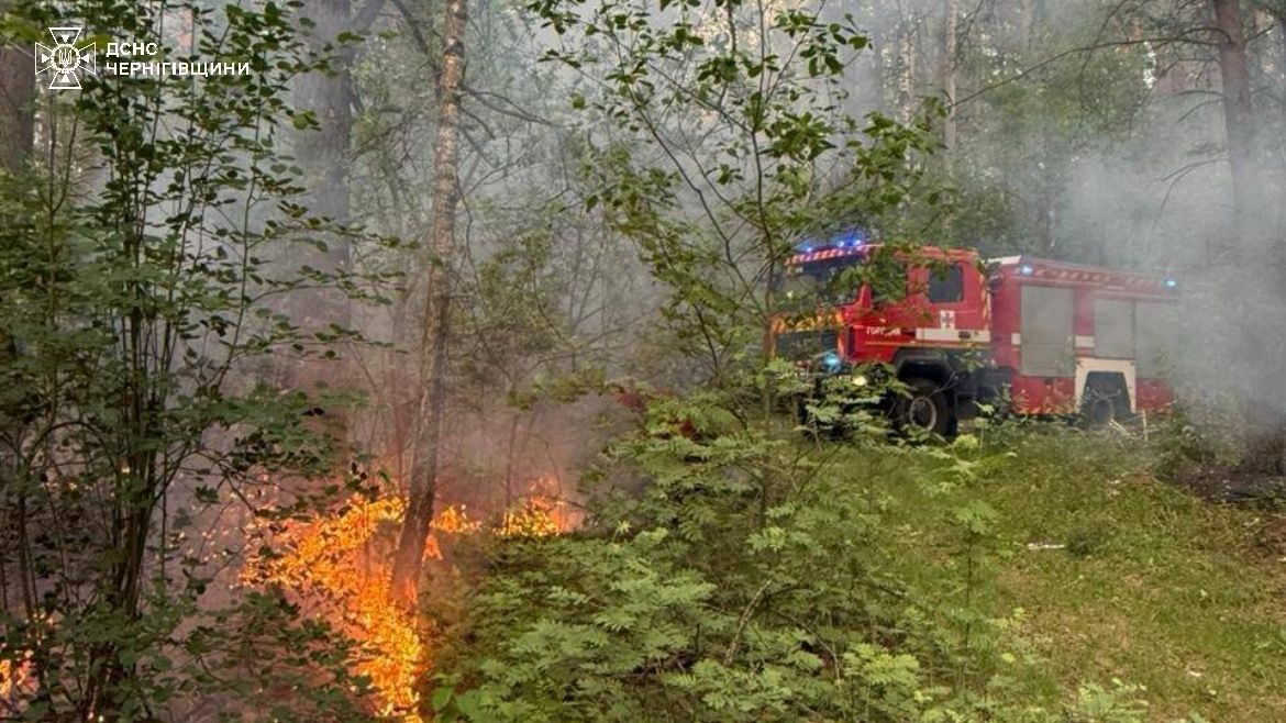 Чернігівщина: через падіння російського БпЛА виникла масштабна пожежа