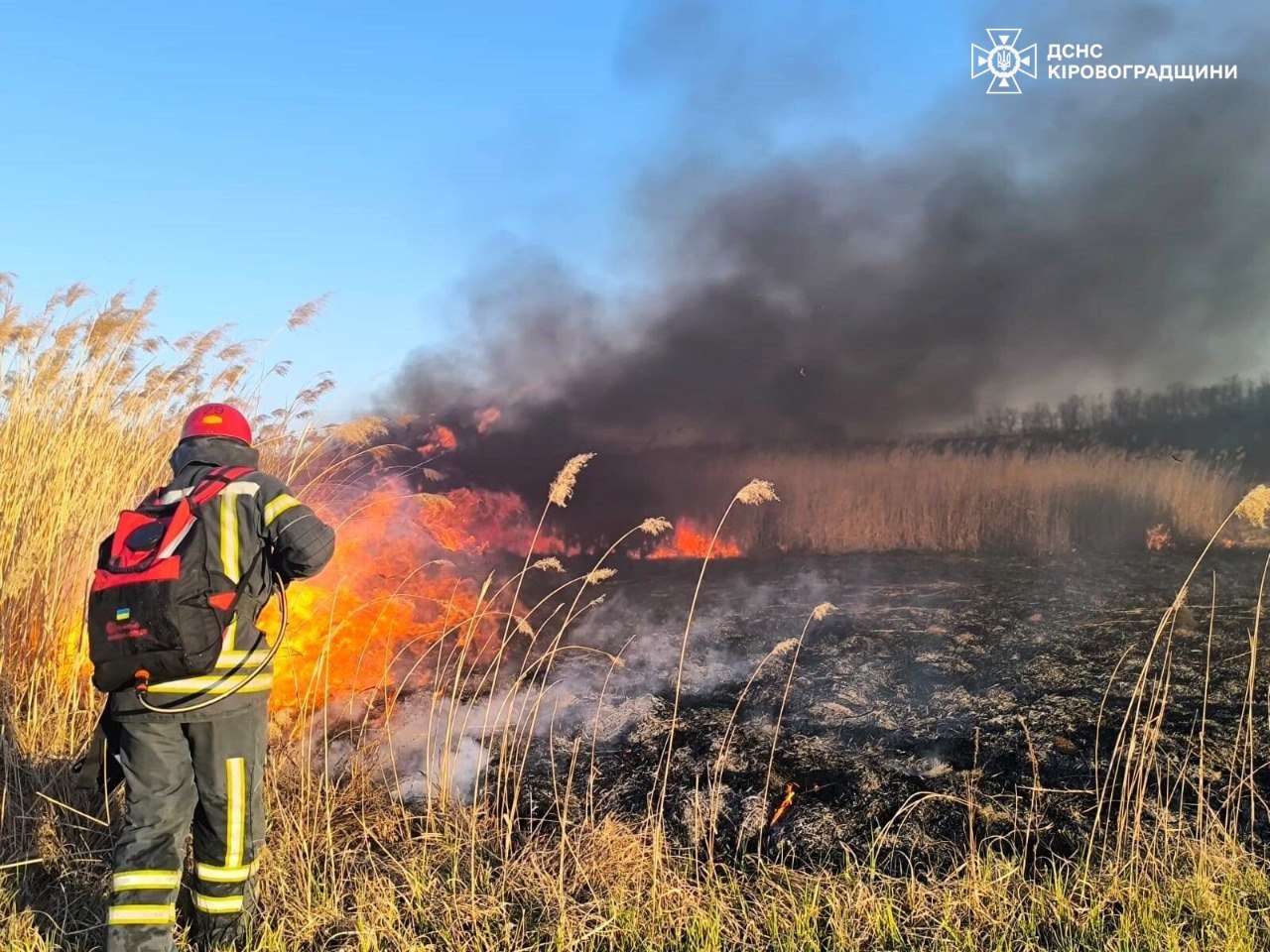 На Прикарпатті загинув чоловік унаслідок пожежі сухої трави (фото)