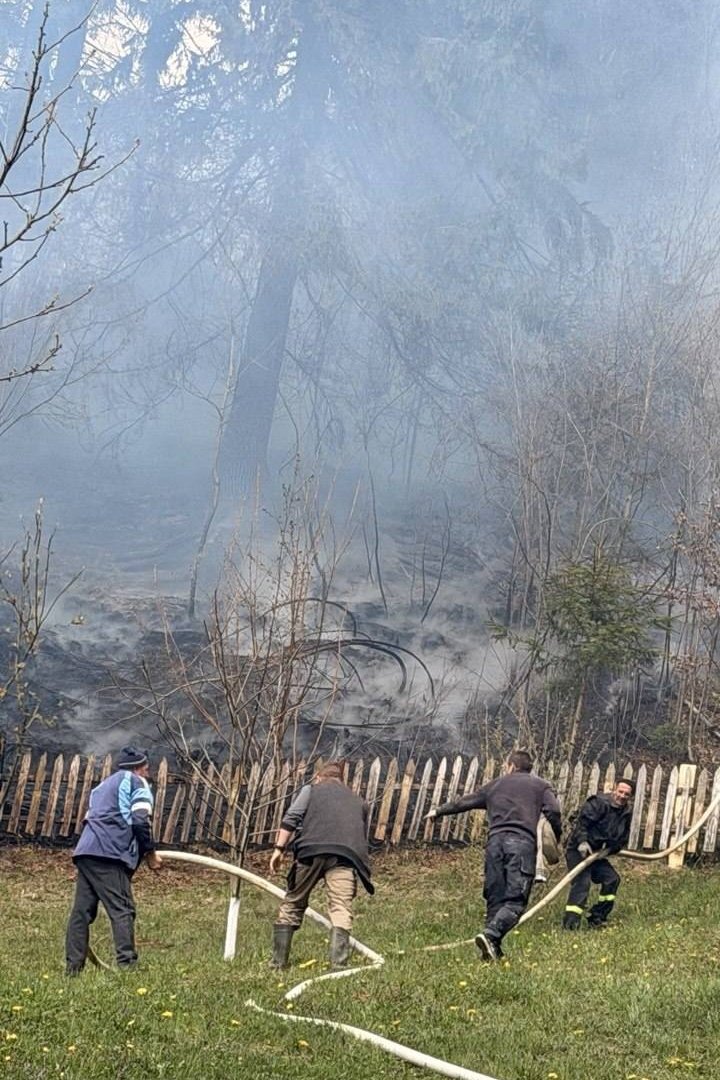 Пожежа у Квасах: вогняна стіна ледь не знищила житлові будинки …