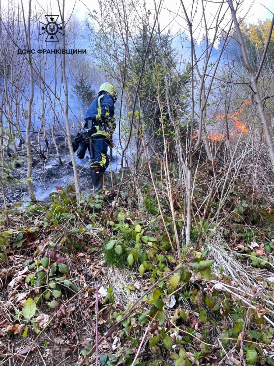 Пожежники ліквідували лісову пожежу в Небилові